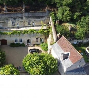 Maison Troglodyte Elegante Avec Spa, Salle De Jeux Et Jardin Clos A Vouvray - Fr-1-381-87 Kültér fotó